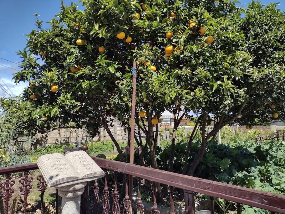 Precioso En San Vicente De O Grove Apartment San Vicente do Grove